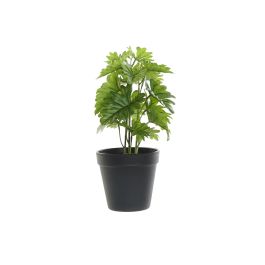 Planta  DKD Home Decor Verde Negro 15 x 28 x 15 cm (4 Unidades)