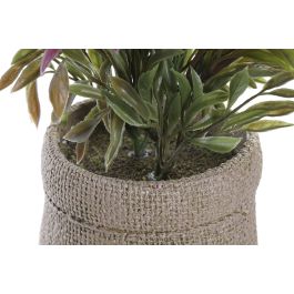 Planta  DKD Home Decor Marron Blanco 16 x 21 x 16 cm (4 Unidades)