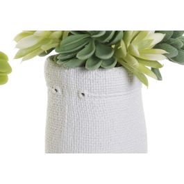 Planta  DKD Home Decor Amarillo Blanco 15 x 19 x 15 cm (4 Unidades)