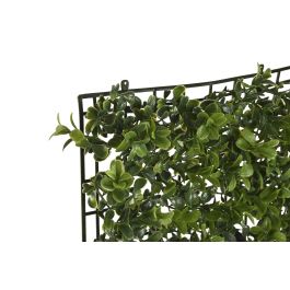 Jardin Vertical  DKD Home Decor Verde 50 x 5 x 50 cm (4 Unidades)