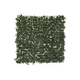 Jardin Vertical  DKD Home Decor Verde 50 x 5 x 50 cm (4 Unidades)