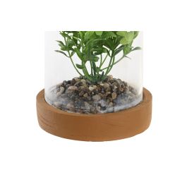 Planta Urban DKD Home Decor Amarillo Verde 12 x 18 x 12 cm (4 Unidades)