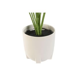 Planta DKD Home Decor Verde Blanco 46 x 66 x 46 cm (4 Unidades)