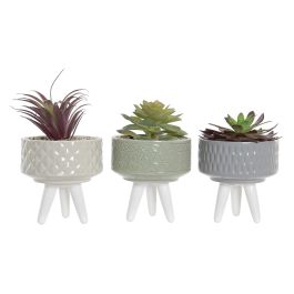 Planta Boho DKD Home Decor Gris Beige 11.5 x 18 x 11.5 cm (6 Unidades) Precio: 37.50000056. SKU: B14QJT5BJX