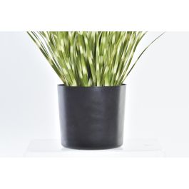 Planta  DKD Home Decor Verde 20 x 60 x 20 cm (6 Unidades)