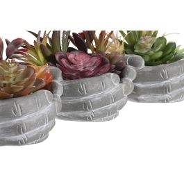 Planta  DKD Home Decor Multicolor 17 x 16.5 x 18 cm (6 Unidades)