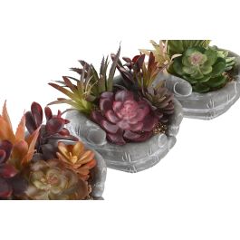 Planta  DKD Home Decor Multicolor 17 x 16.5 x 18 cm (6 Unidades)