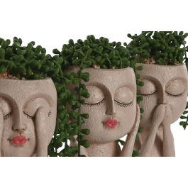 DKD Home Decor Planta Artificial Moderna de Resina y PE Beige Verde 13x18x14.5 cm Pack de 6 Unidades Surtido Aleatorio