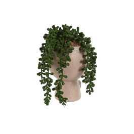 DKD Home Decor Planta Artificial Moderna de Resina y PE Beige Verde 13x18x14.5 cm Pack de 6 Unidades Surtido Aleatorio