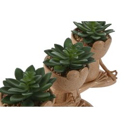 Planta Moderno DKD Home Decor Crema Verde 9.5 x 17 x 13.5 cm (6 Unidades)