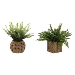 Planta DKD Home Decor Natural Verde 33 x 29 x 33 cm (6 Unidades) Precio: 78.5168997459. SKU: B1CJBSHZ5J