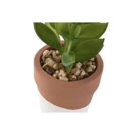 Planta DKD Home Decor Marron Verde 5.5 x 13 x 5.5 cm (6 Unidades)