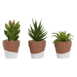 Planta DKD Home Decor Marron Verde 5.5 x 13 x 5.5 cm (6 Unidades) Precio: 18.99000015. SKU: B1GNMWHTVW