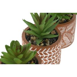 Planta DKD Home Decor Terracota Verde 7.5 x 16.5 x 7.5 cm (6 Unidades)