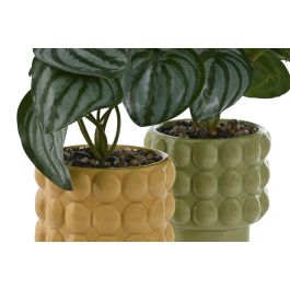 Planta Urban DKD Home Decor Verde Mostaza 9 x 19 x 9 cm (6 Unidades)