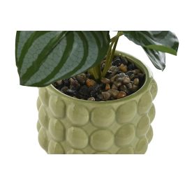 Planta Urban DKD Home Decor Verde Mostaza 9 x 19 x 9 cm (6 Unidades)