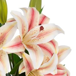 Flor Lirio Rosa Goma Decoración 59 cm