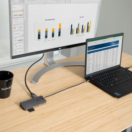 Hub USB Startech 115B-USBC-MULTIPORT 4K Gris 100 W