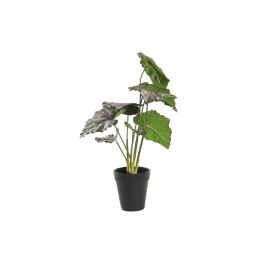 DKD Home Decor Planta Artificial de PE, Verde y Rosa, Set de 6 Unidades, 20 x 20 x 39 cm Precio: 37.58502. SKU: B1AWXXSCW8