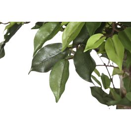 DKD Home Decor Arbol Artificial Ficus Decorativo Verde Marron, 210 cm Alto, Base 100x100 cm, Materiales PE y Madera, Pack 2 Unidades