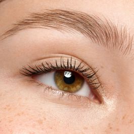 Set de Maquillaje Essence SATIN BLEND