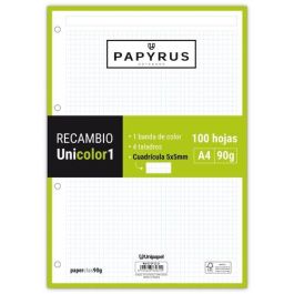 Recambio Papyrus Unicolor1 A4 100H 90G 4 Taladros Cuad.5X5 Lima 24 unidades Precio: 83.68999969. SKU: B12E6H85EZ