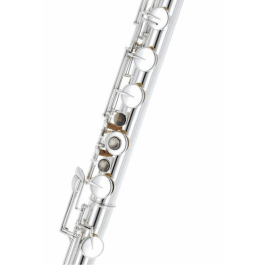 PEARLFLUTE Pfb305E Flauta Bajo Plateada con Cabeza Curvada y Mecanismo Mi dividido, incluye Estuche y Kit de Limpieza