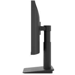 LG 25MS550-B Monitor de PC 62,2 cm (24.5") Full HD IPS Negro 1920 x 1080 Pixeles