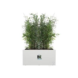 Elho ELH8711904499600 Jardinera Vivo Next Long 60, Blanco, L 59 x B 30 x H 29 cm, Interior/Exterior, 100% Reciclado
