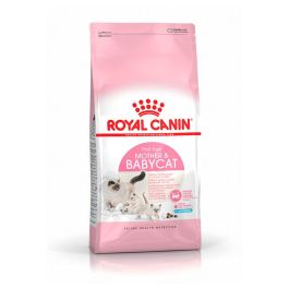 Royal Canin Alimento Húmedo Feline Mother & Babycat para Gatas Gestantes y Gatitos de hasta 4 meses, 400 gr Precio: 7.9899996. SKU: B1FD2KB5NE