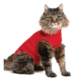 Camiseta Protectora Para Gato 2XS 33 cm Roja Braun Precio: 28.49999999. SKU: B19QV5P6FG
