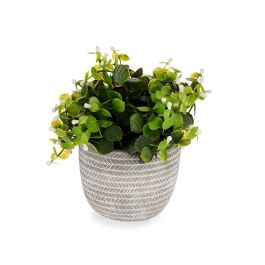 Planta Verde Flor Blanca Con Maceta Gris Ibergarden 20X20CM (8 Unidades) Planta Verde Flor Blanca Con Maceta Gris Ibergarden 20X20CM (8 Unidades)