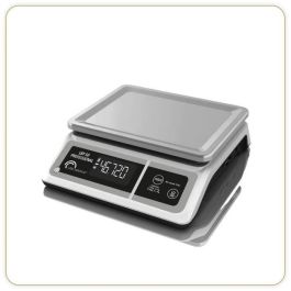 Báscula profesional - LBP 50 Professional - USB - Gris - LITTLE BALANCE - Báscula de cocina - 50 kg Precio: 108.49999941. SKU: B16WJTXP6A