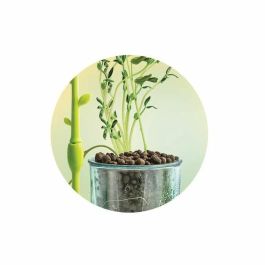 Clementoni CLE52878 Mini invernadero botánico