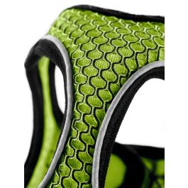 Arnés Hilo Comfort S Cuello: 42-48 cm Lima Precio: 20.50000029. SKU: S6103653