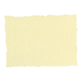 Michel Papel Pergamino DIN A4 Troquelado Piel Elefante Color Hueso 125 gr 25 Hojas