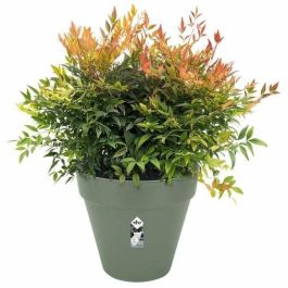 Elho Vibia ELH8711904500597 Plantilla rectangular para Tanque Ø50 Plástico Miel amarilla