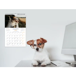 Liderpapel Calendario Pared Imágenes Gatos 2026 para Escribir 25x40 cm Papel 157 gr Espiral