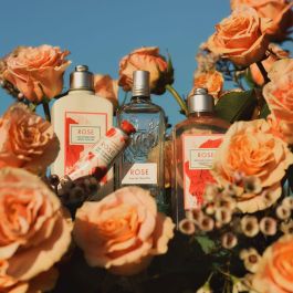 L'Occitane En Provence Crema de Manos Rosa 30 ml con 20% Manteca de Karité y Fragancia de GINGEMBRE ROUGE para Nutrición y Suavidad