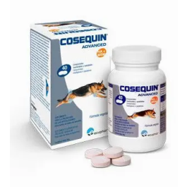 Cosequin Advance Msm Ha 40Cpd Box Precio: 33.8900001. SKU: B1GM2XAAQV