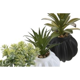 DKD Home Decor Planta Artificial Scandi Crema y Negra 13cm (Set de 6 Unidades) Decoración Hogar