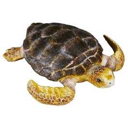 Collecta 88094 Figura Tortuga Boba M Réplica Real a Escala, Pintada a Mano, Modelada al Detalle de Alta Calidad, Animal Marino Educacional +3 Años Precio: 5.9532. SKU: B13KWNTFH7