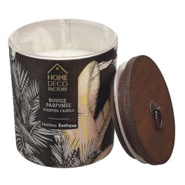 Home Deco Factory Vela Perfumada Natural Wild Altura 8,5 cm