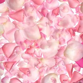 The Body Shop British Rose Exfoliante De Ducha 50 mL The Body Shop British Rose Exfoliante De Ducha 50 mL