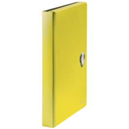 Carpeta Leitz Recycle Clasificador Fuelle Din A4 Polipropileno 5 Compartimentoscon Bolsillo Frontal Amarillo