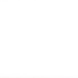 Lego 40524 Girasoles, Kit de Construcción de Flores Artificiales, Decoración para Habitación Infantil o Hogar