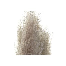 Rama Boho DKD Home Decor Burdeos Beige 7 x 120 x 7 cm Set de 3 (2 Unidades) Rama Boho DKD Home Decor Burdeos Beige 7 x 120 x 7 cm Set de 3 (2 Unidades)