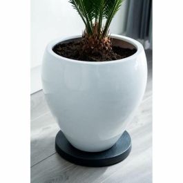 Nature Mesa enrollable para plantas de Polipropileno, base redonda con ruedas para macetas, Ø29.2 cm de diámetro, 4 cm de altura Nature Mesa enrollable para plantas de Polipropileno, base redonda con ruedas para macetas, Ø29.2 cm de diámetro, 4 cm de altura
