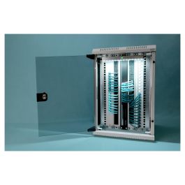 Digitus Carcasa Mural Combinada 254 mm (10") y 482,6 mm (19") - Bastidor de Pared 10U