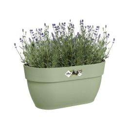 Elho Maceta Vibia Campana Easy Hanger Medium Verde pistacho para Balcón exterior, L 24,1 x P 36 x H 26,5 cm Elho Maceta Vibia Campana Easy Hanger Medium Verde pistacho para Balcón exterior, L 24,1 x P 36 x H 26,5 cm